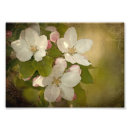 Search for green apple art Blossom
