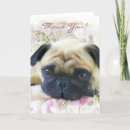 Search for pug thank you cards Pet