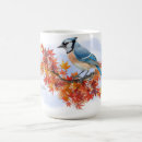 Search for blue jay coffee mugs Nature
