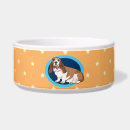Search for bassets For pets