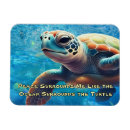 Search for peace rectangular magnets Blue