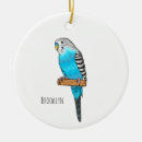 Search for parakeet christmas tree decorations Budgerigar