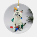 Search for burmese christmas tree decorations Cat