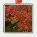 Search for japanese maple christmas tree decorations Fall