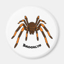 Search for tarantulas magnets Spider