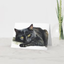 Search for watercolor halloween cards Black