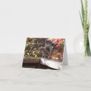 Search for cute squirrel cards Wild animal