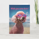 Search for pink poodle cards Fabulous