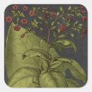 Search for dramatic gift wrap Botanical