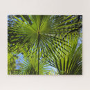Search for palm leaves puzzles Fronds