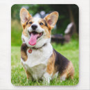 Search for corgi mousepads Animal