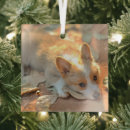 Search for corgi christmas decor Puppy