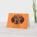 Search for eyeglasses cards Pet