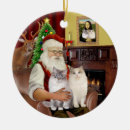 Search for ragdoll cat christmas tree decorations Cats