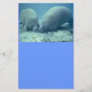 Search for ocean stationary stationery paper Nature
