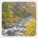 Search for brooks stickers Landscape