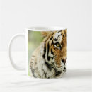 Search for siberian tiger mugs Cat