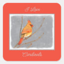 Search for cardinals stickers Bird