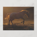 Search for galloping postcards Equine