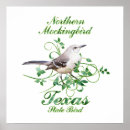 Search for mockingbird posters Texas