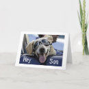 Search for funny son in law cards Photography