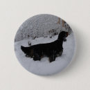 Search for setters badges Animal