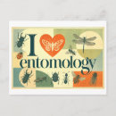 Search for entomology postcards Illustration