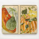 Search for squash mousepads Food