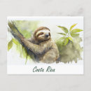 Search for costa rica postcards Wildlife