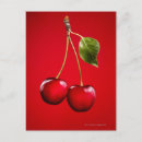 Search for cherry red postcards Photography