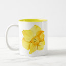 Search for yellow daffodil coffee mugs Flower