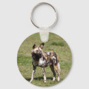 Search for wild dog key rings Canine