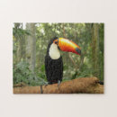 Search for toucan puzzles Colourful