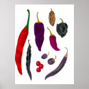 Search for chili posters Spice