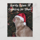 Search for weimaraner christmas cards Santa