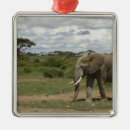 Search for kenya christmas tree decorations Np