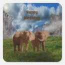 Search for oils stickers Wildlife
