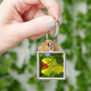 Search for green leaf key rings Nature photography