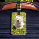 Search for dandelion gifts Puppy