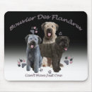 Search for bouvier electronics Flandres