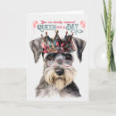 Search for schnauzer birthday cards Pets