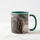 Search for ocelots mugs Wildlife