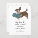 Search for sausage dog postcards Pet lover