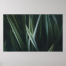 Search for linear posters Pattern