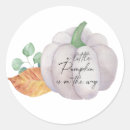 Search for white pumpkin stickers Autumn