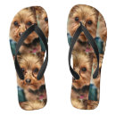 Search for yorkshire terrier shoes Pet