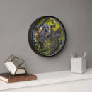 Search for owl clocks Woods