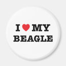 Search for beagle magnets Heart