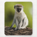 Search for mcdonald mousepads Mary ann mcdonald