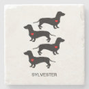Search for sausage dog barware Wiener